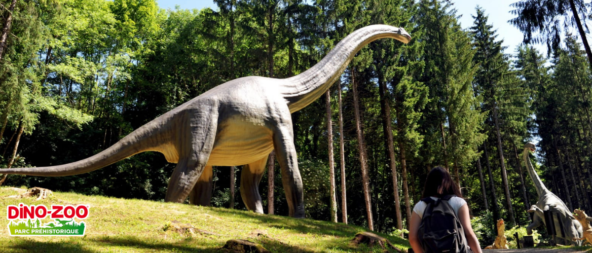 Dino Zoo